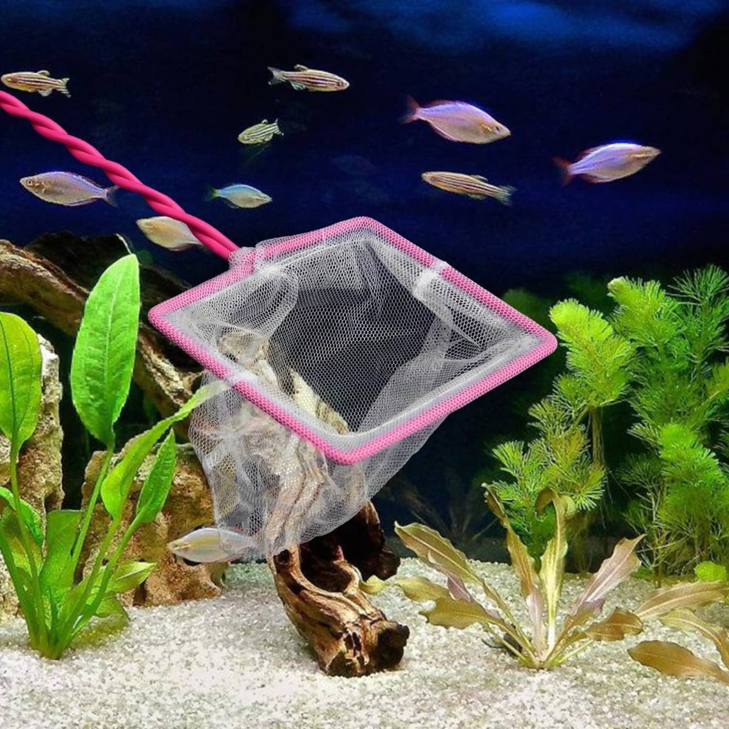 Filet Sécurisé pour Aquarium DtopbuyAge - Image 5
