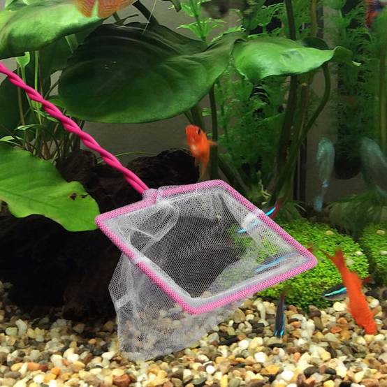 Filet Sécurisé pour Aquarium DtopbuyAge - Image 4