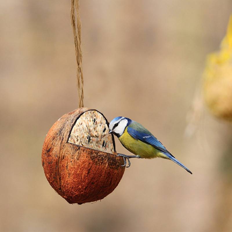 Esschert Design - Graines oiseaux Noix de coco suspendre - Esschert Design - Imagen 2