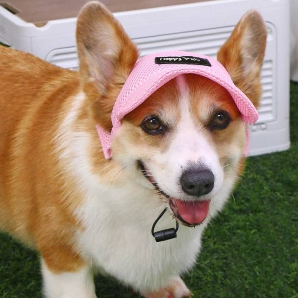 Chapeau de soleil rose pour chien m - IntiMeg - Image 6