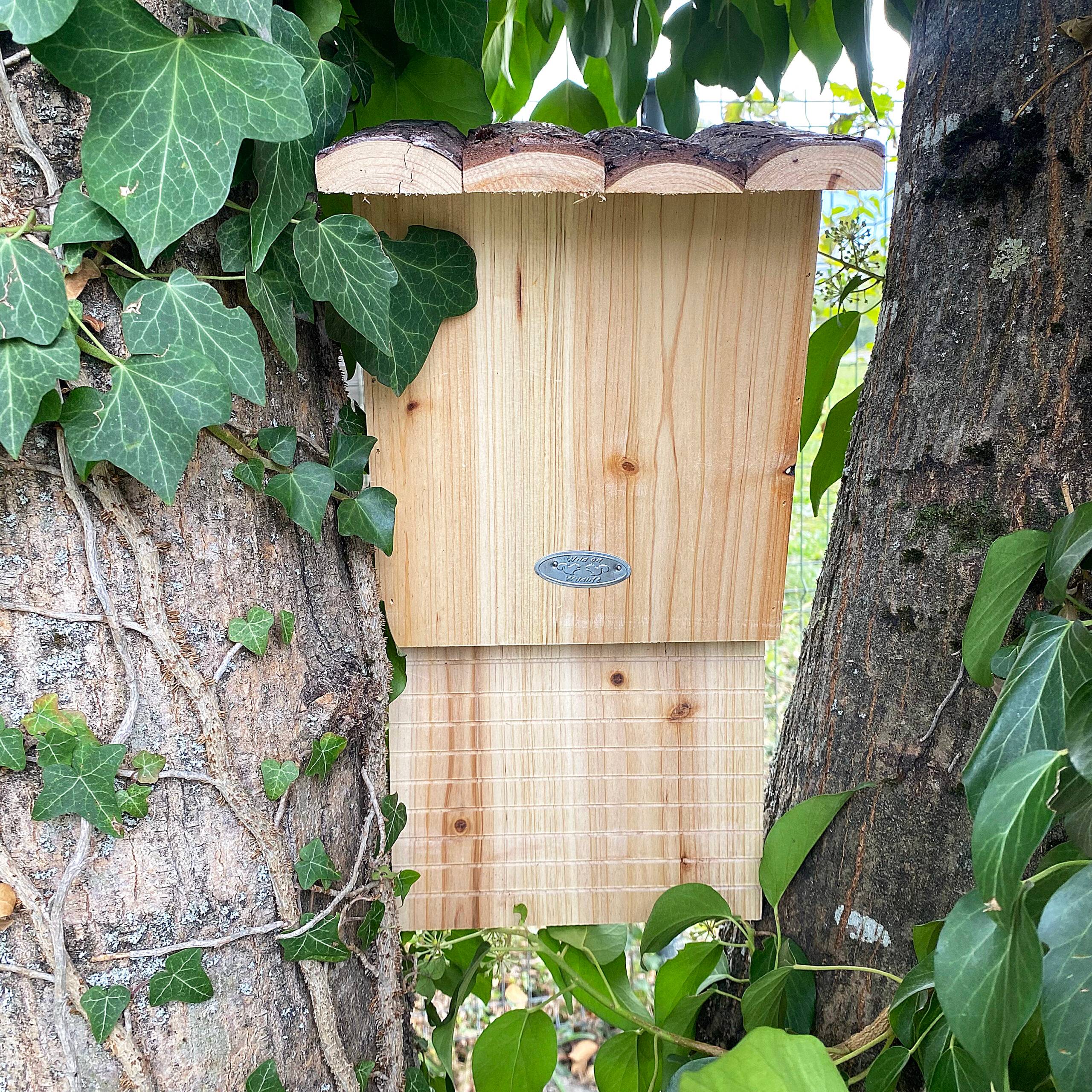 Esschert Design - Nichoir chauve souris avec toît écorce - Esschert Design - Image 3