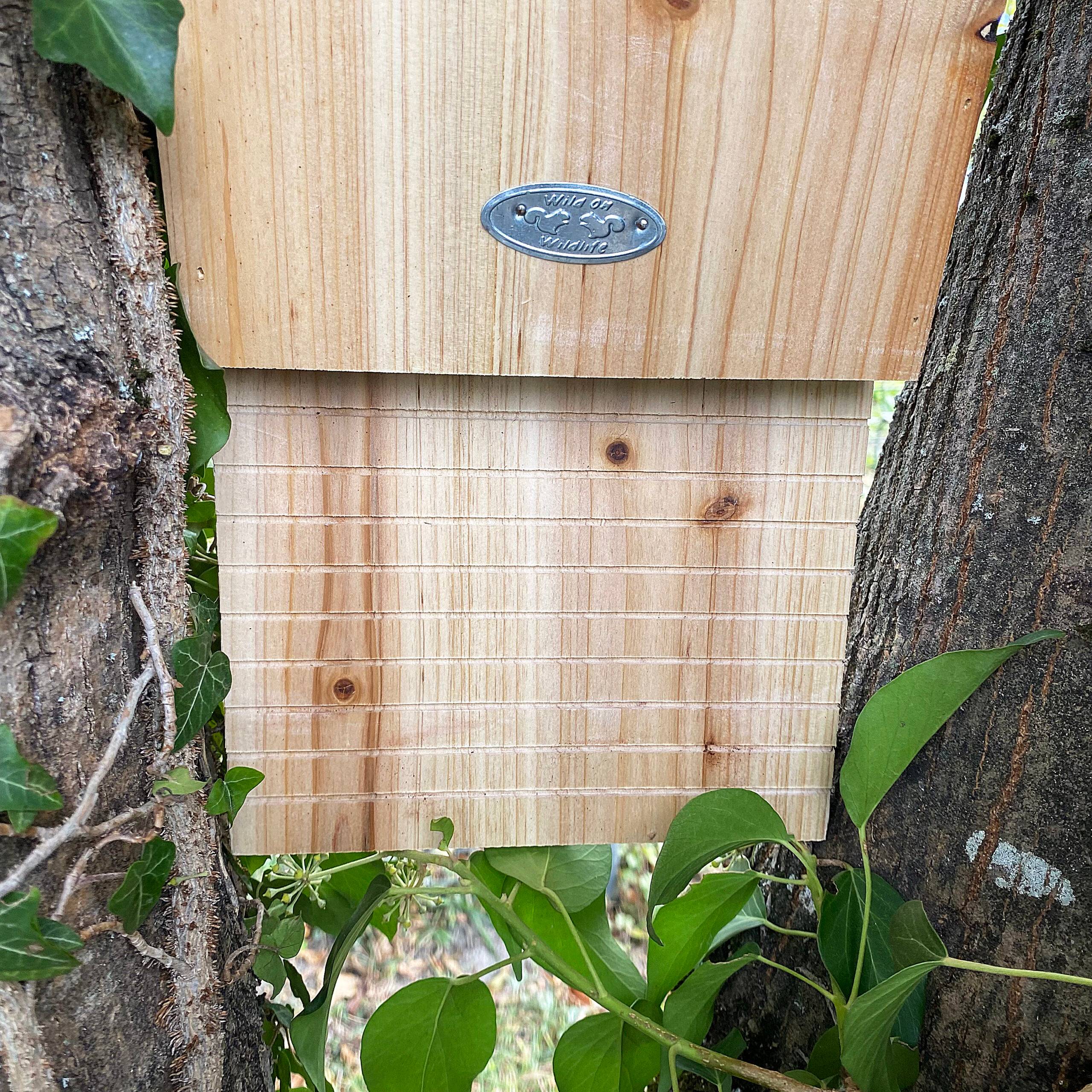 Esschert Design - Nichoir chauve souris avec toît écorce - Esschert Design - Image 4
