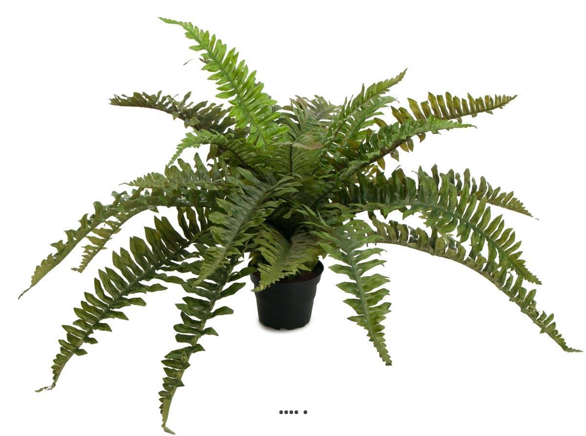 Artificielles - Fougère arborescente artificielle en pot, D 60 cm, H 35 cm - Imagen 1