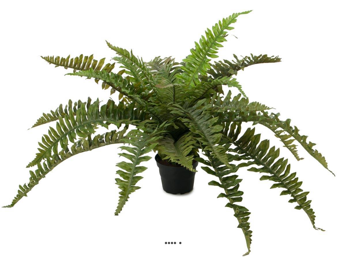 Artificielles - Fougère arborescente artificielle en pot, D 60 cm, H 35 cm - Imagen 2