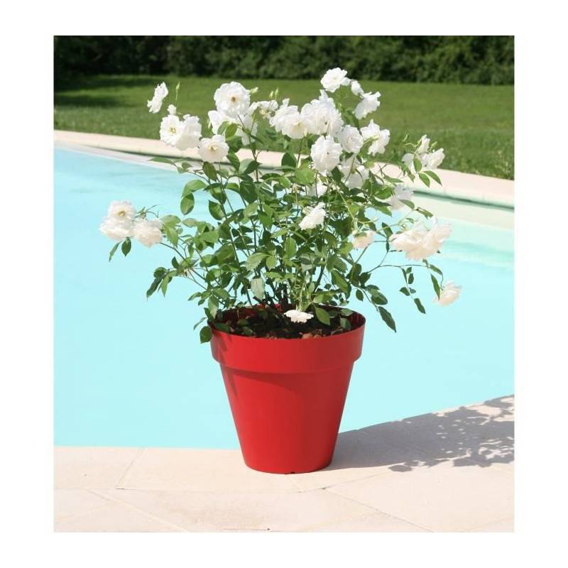 Riviera - Riviera Pot De Fleurs Soleilla - Rond - O 49 X 44,8 Cm - Rouge - Image 1