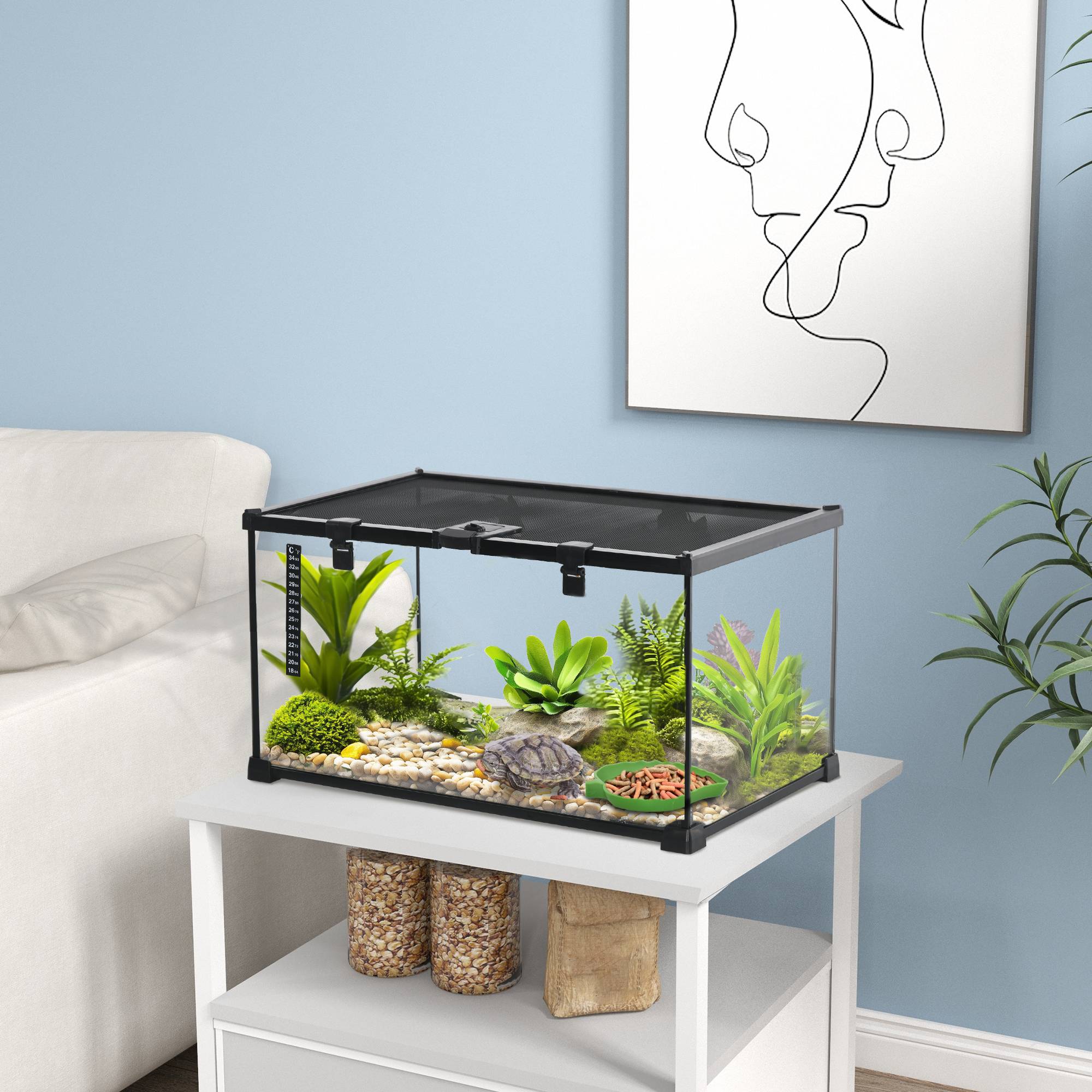 Terrarium verre métal noir 50 x 30 x 25 cm - PANGIVO - Image 3