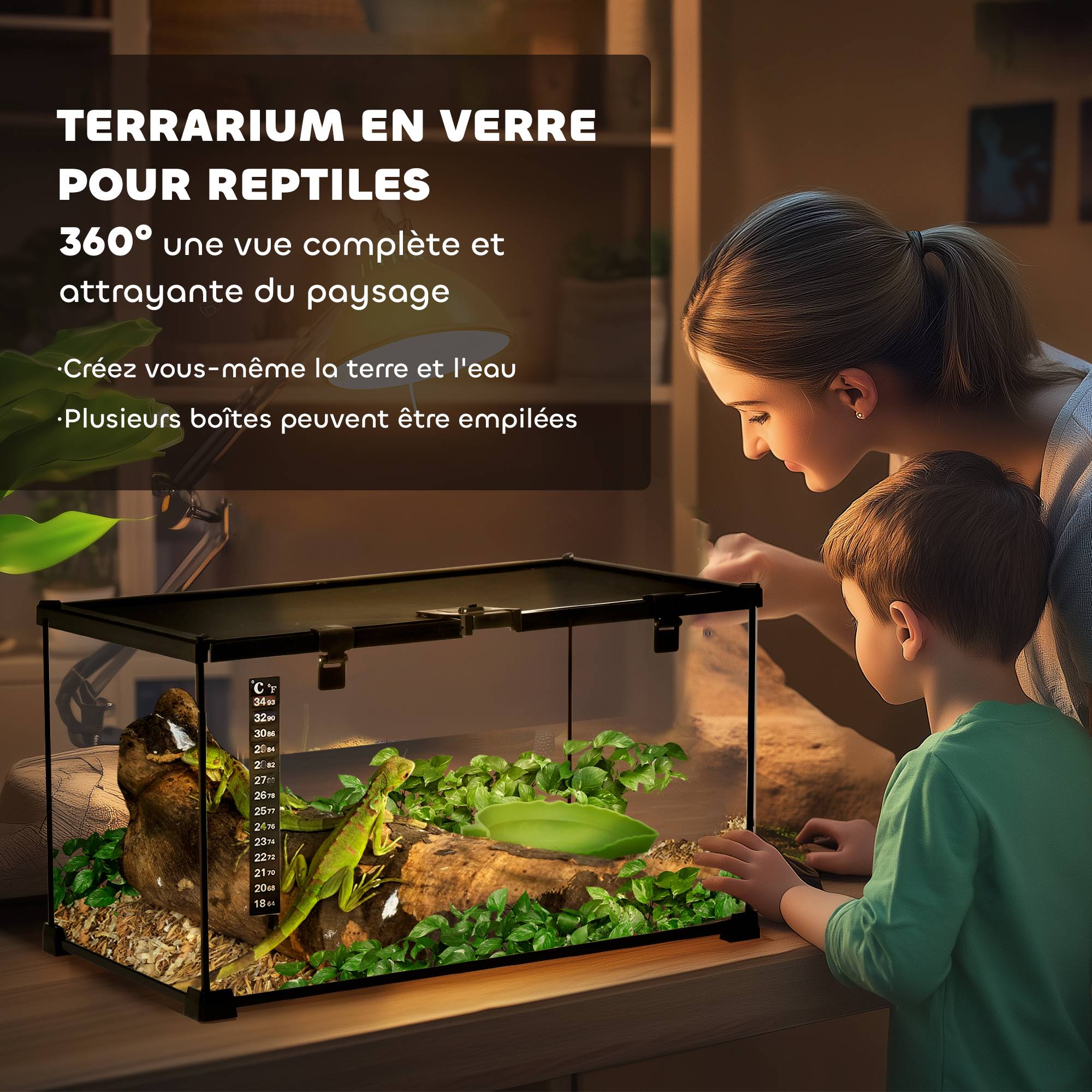 Terrarium verre métal noir 50 x 30 x 25 cm - PANGIVO - Image 6