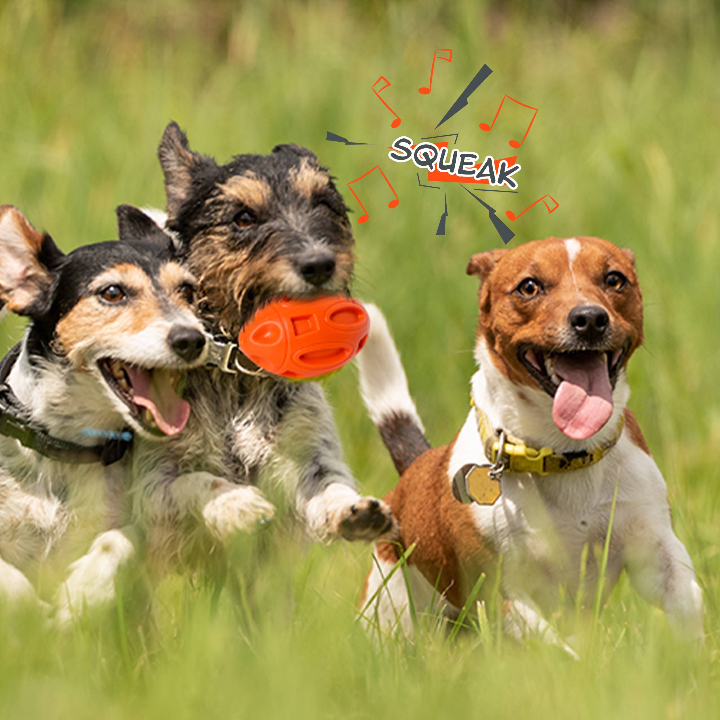 Petsation - Jouet orange en latex à mâcher robuste et résistant pour moyens et grands chiens - Petsation - Imagen 7