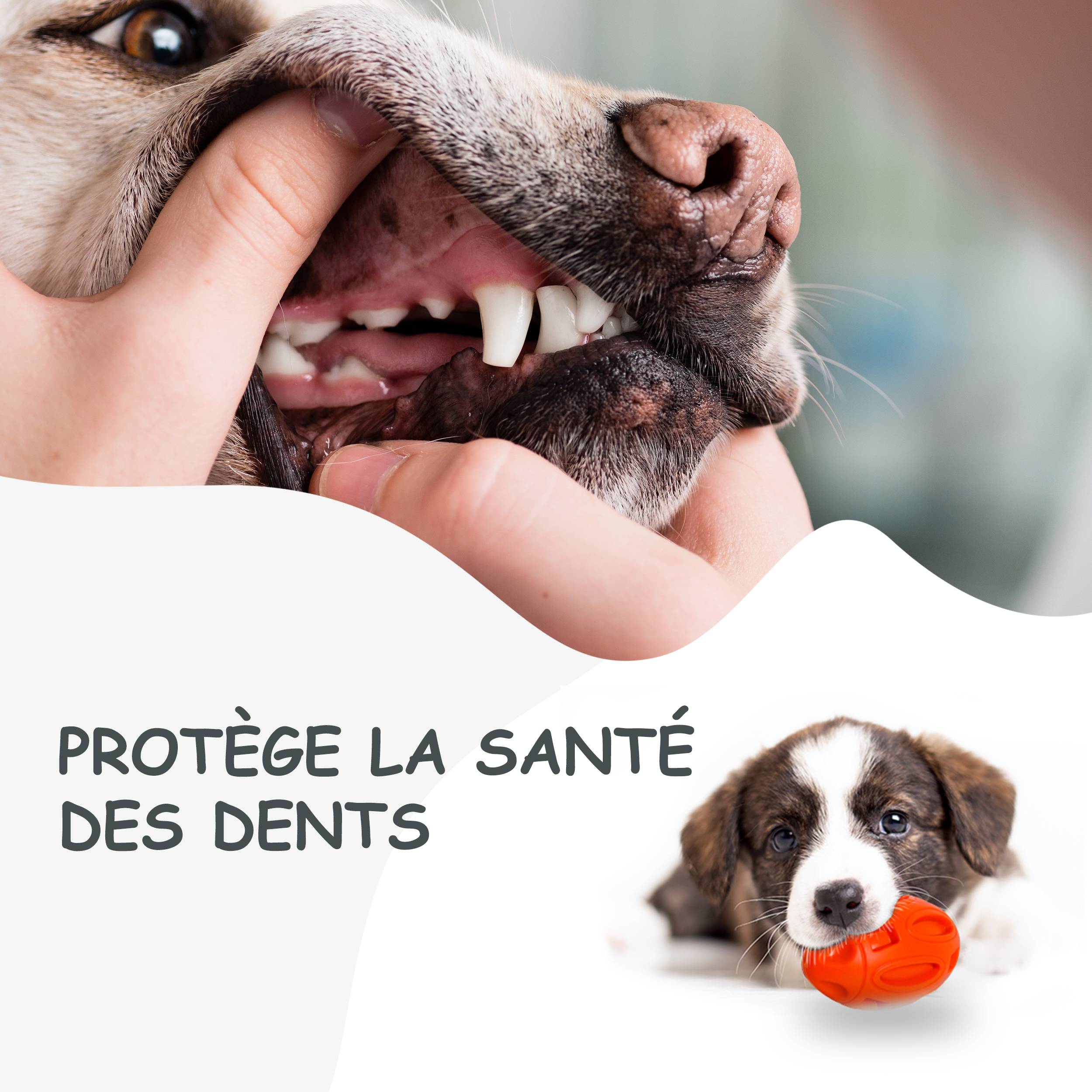 Petsation - Jouet orange en latex à mâcher robuste et résistant pour moyens et grands chiens - Petsation - Imagen 4