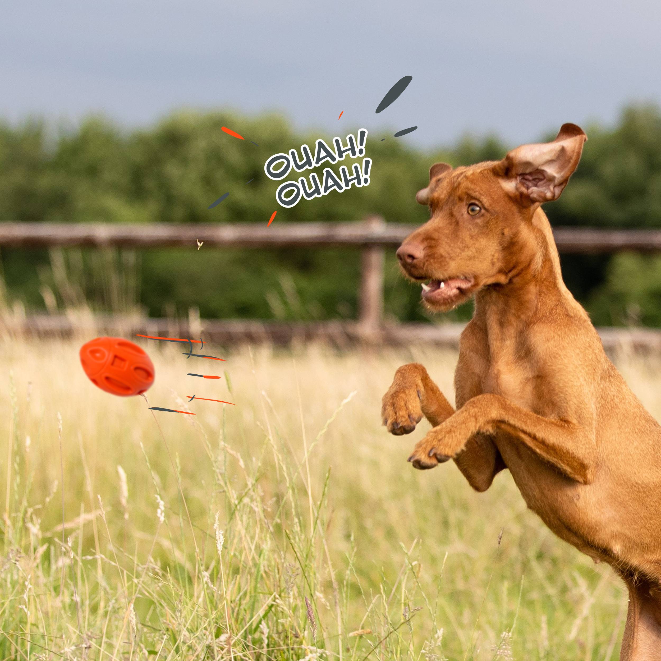 Petsation - Jouet orange en latex à mâcher robuste et résistant pour moyens et grands chiens - Petsation - Imagen 3