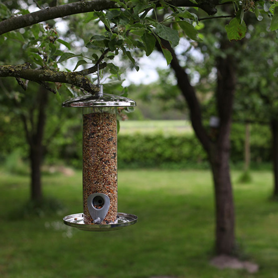 Esschert Design - Mangeoire graines oiseaux inox - Esschert Design - Image 2