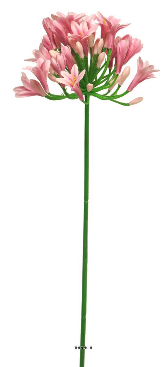Artificielles - Agapanthe artificielle en tige H75 cm, grande tête D 14 cm Rose - BEST - couleur: Rose - Imagen 3
