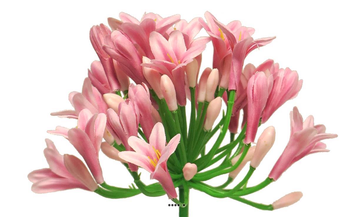 Artificielles - Agapanthe artificielle en tige H75 cm, grande tête D 14 cm Rose - BEST - couleur: Rose - Imagen 4