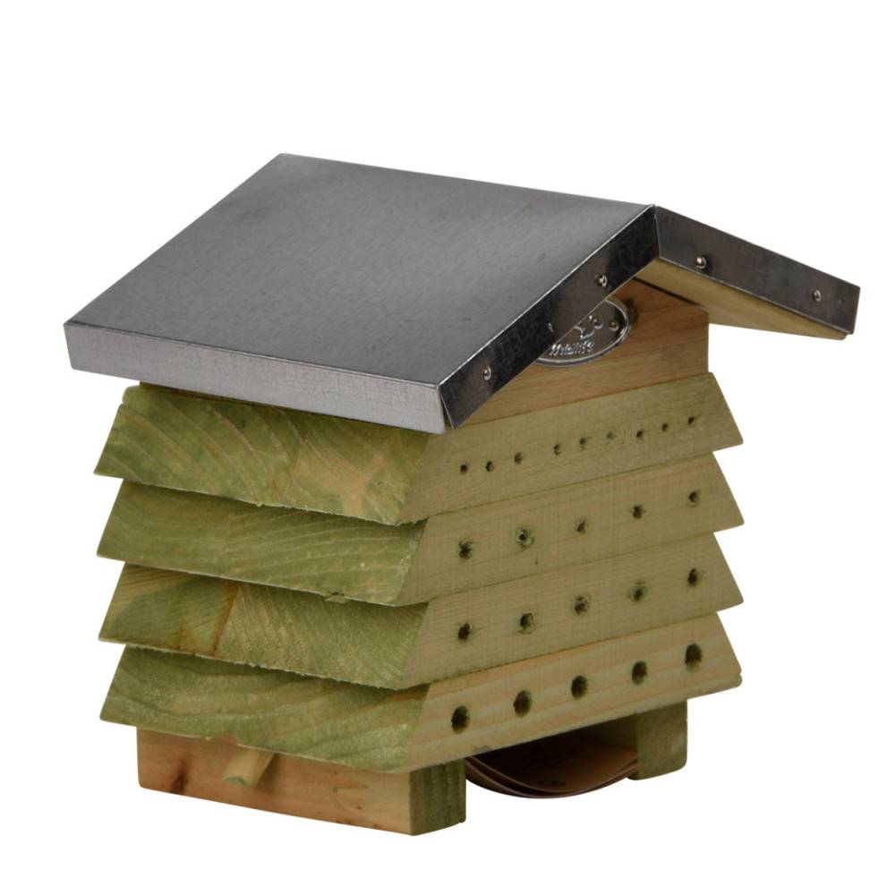 Animallparadise - Abri en bois pin avec toit en zinc pour abeilles - Imagen 3