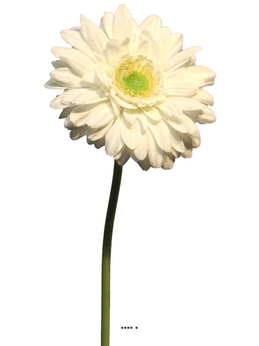Artificielles - Gerbera artificiel, H 48 cm Crème - BEST - couleur: Crème - Imagen 3