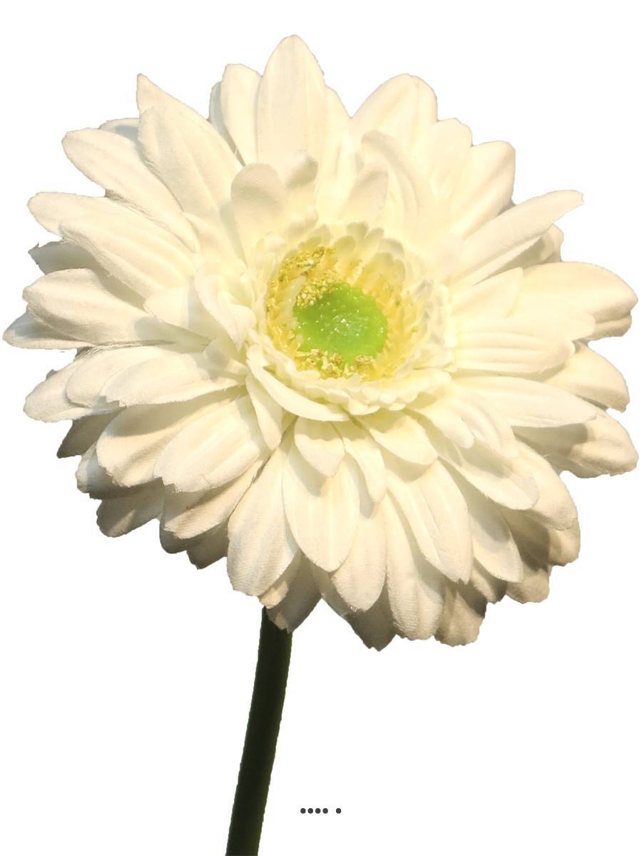 Artificielles - Gerbera artificiel, H 48 cm Crème - BEST - couleur: Crème - Imagen 4