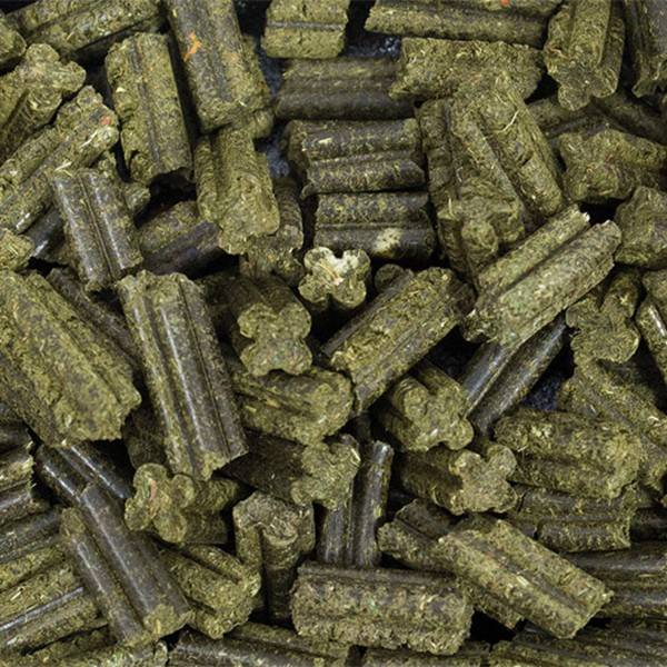 Bubimex - Granulés Grainless Complete pour lapins junior - Image 3