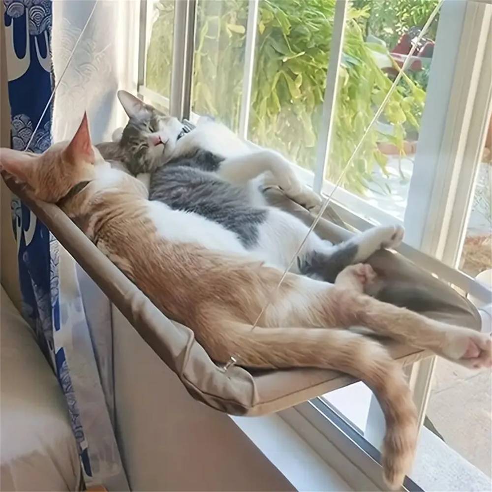 Support de Fenêtre pour Chat MCBOSON - Image 3