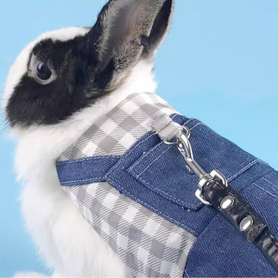 Harnais pour lapin et chat l - IntiMeg - Image 5