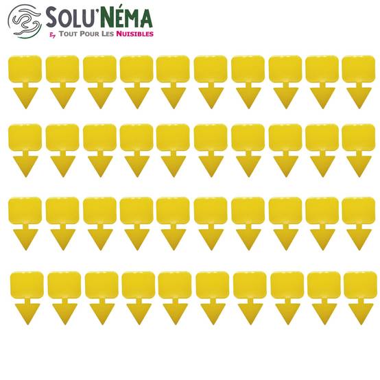 Solu'Néma - 40 Pièges Collants Jaunes pour Mouches du Terreau, Mouches des Fruits, Moucherons, Design XXL - Image 2
