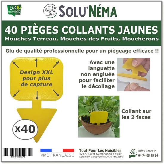 Solu'Néma - 40 Pièges Collants Jaunes pour Mouches du Terreau, Mouches des Fruits, Moucherons, Design XXL - Image 1