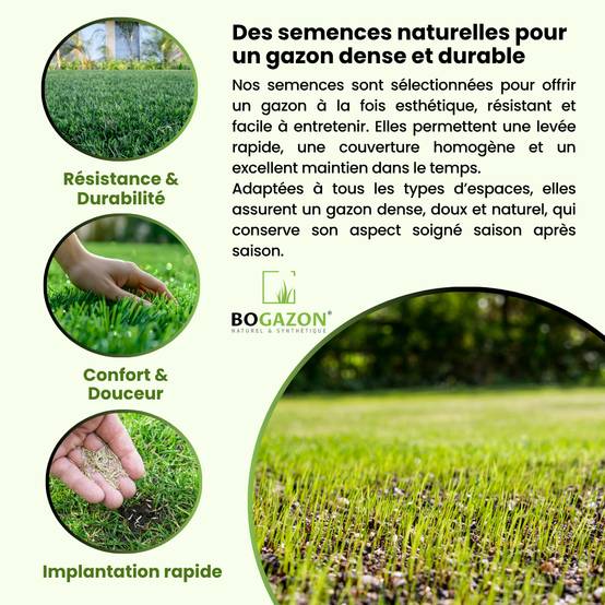 Bogazon - Gazon a semer ICL Sport 10 kg | Graines de Gazon Résistant Piétinement Terrain de Sport & Jardin | Semence Universel Dense et Uniforme - Image 3