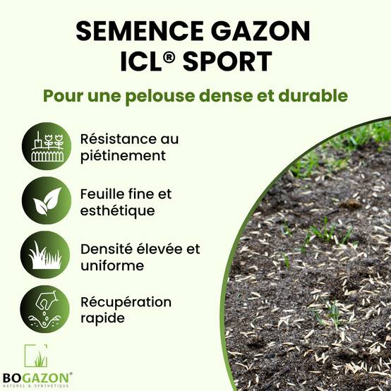Bogazon - Gazon a semer ICL Sport 10 kg | Graines de Gazon Résistant Piétinement Terrain de Sport & Jardin | Semence Universel Dense et Uniforme - Image 2