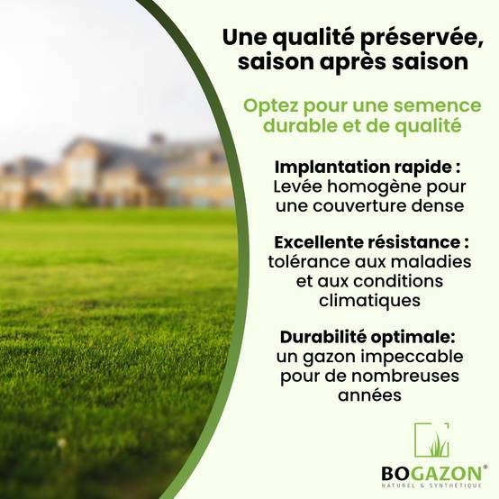 Bogazon - Gazon a semer ICL Sport 10 kg | Graines de Gazon Résistant Piétinement Terrain de Sport & Jardin | Semence Universel Dense et Uniforme - Image 6