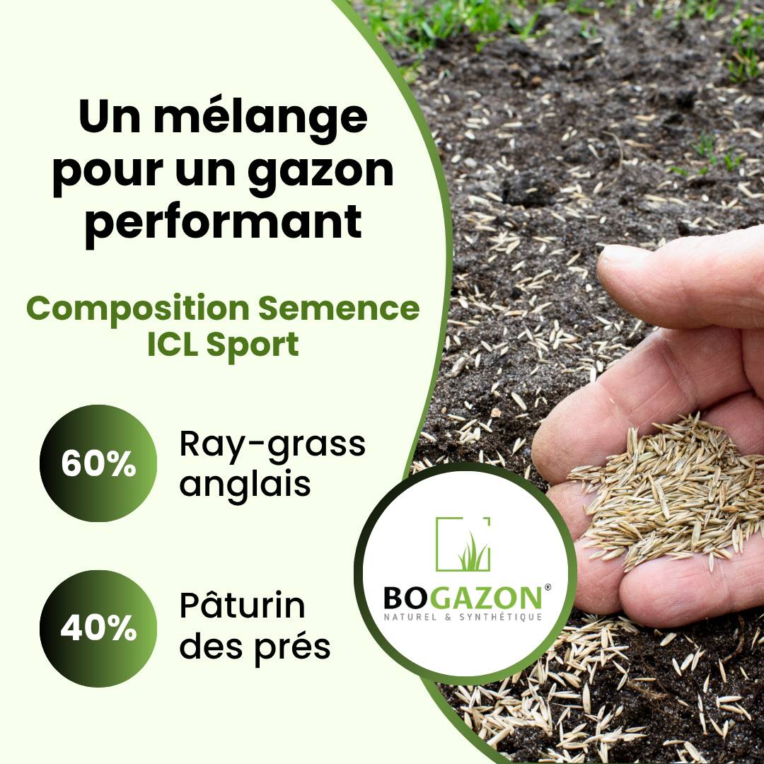 Bogazon - Gazon a semer ICL Sport 10 kg | Graines de Gazon Résistant Piétinement Terrain de Sport & Jardin | Semence Universel Dense et Uniforme - Image 5