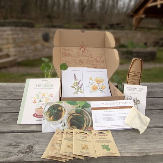 Box de graines bio Plantes à tisanes- Association Kokopelli - Imagen 1