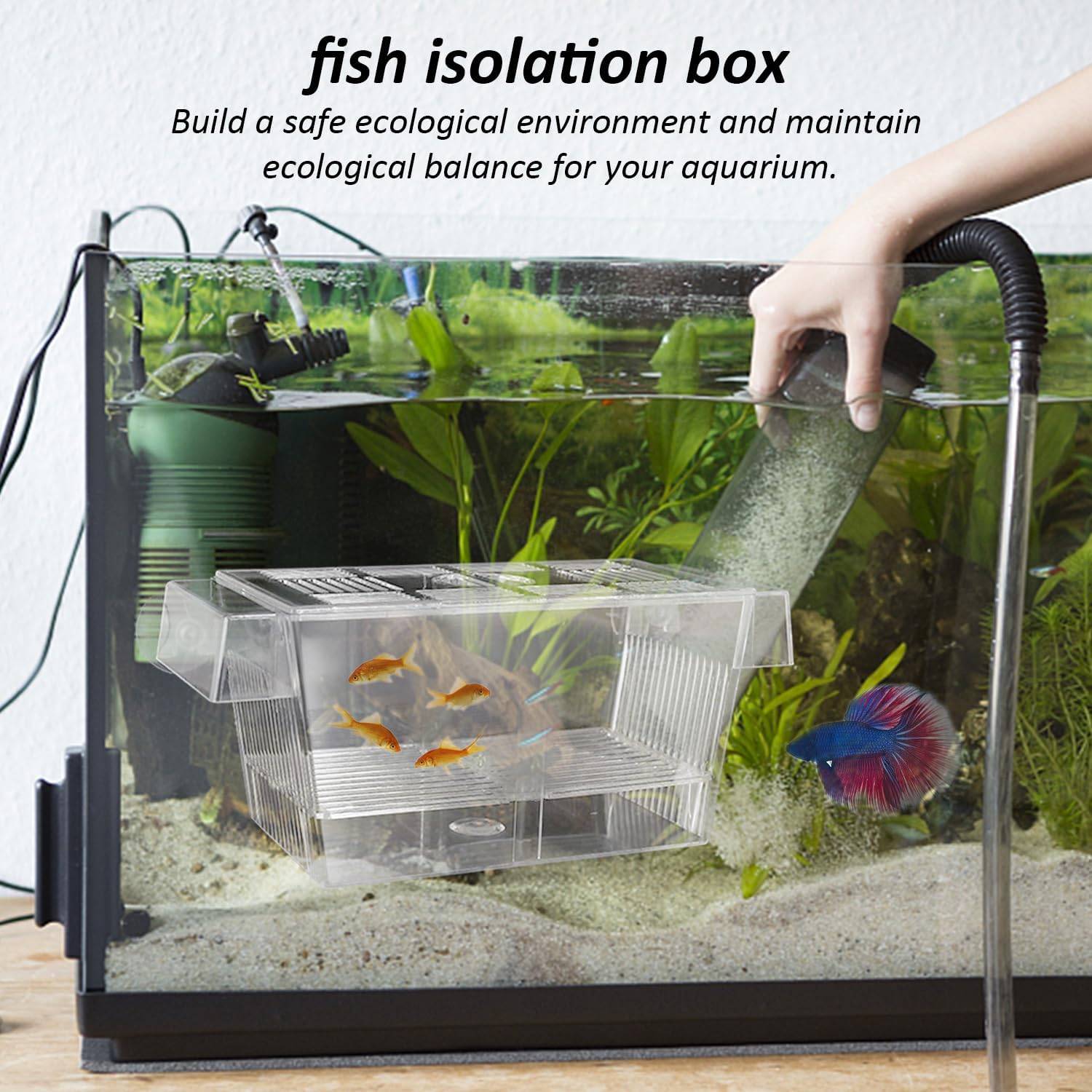 Box flottante double paroi avec ventouse - Élevage alevins DtopbuyAge - Image 5