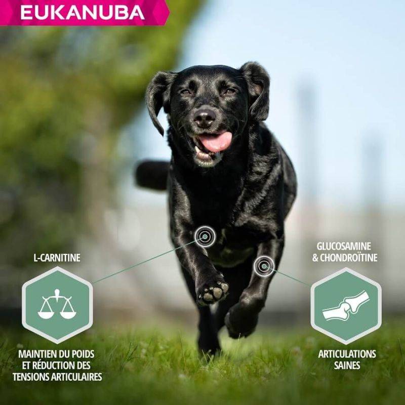 Eukanuba - CROQUETTES CHIEN ADULT SENSITIVE JOINTS - EUKANUBA 2,3 kg - Imagen 2