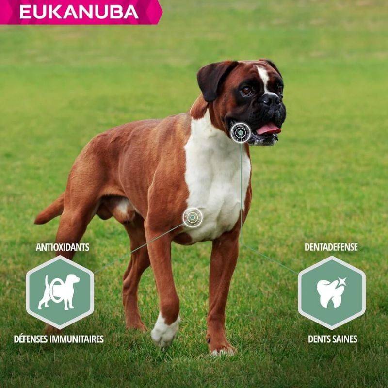 Eukanuba - CROQUETTES CHIEN ADULT SENSITIVE JOINTS - EUKANUBA 2,3 kg - Imagen 4