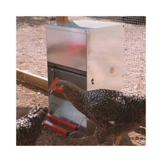 Mangeoire anti-nuisibles 40 kg pour 20 poules - Image 2