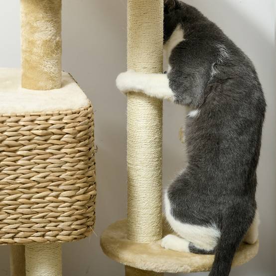 Arbre à chat bois jute intérieur niche 3 plateformes balles 60x40x98cm beige - ComfortXL Outdoor Living - Image 9