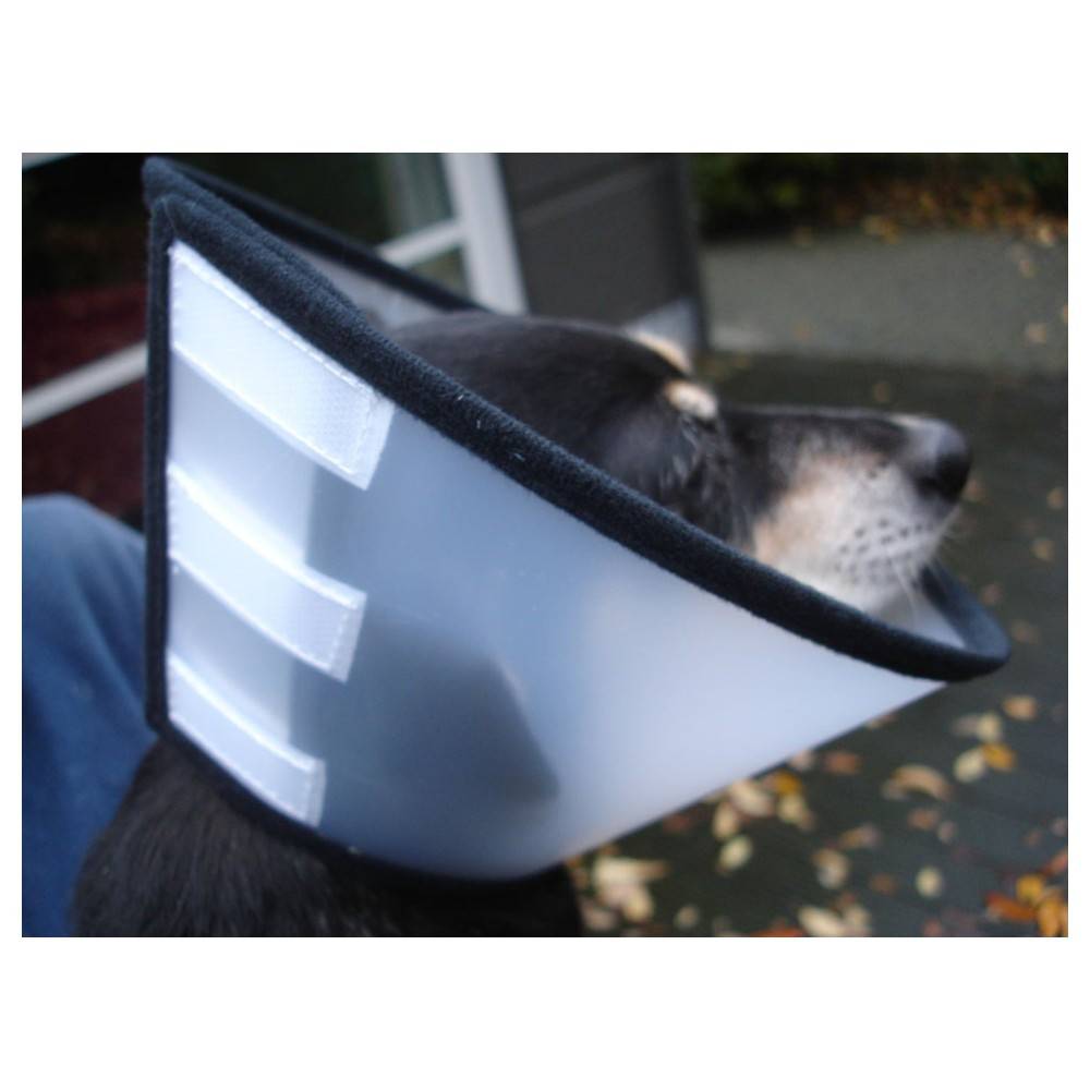 Flamingo - Collerette de protection Capo L 31 cm pour chien - Flamingo - Image 7