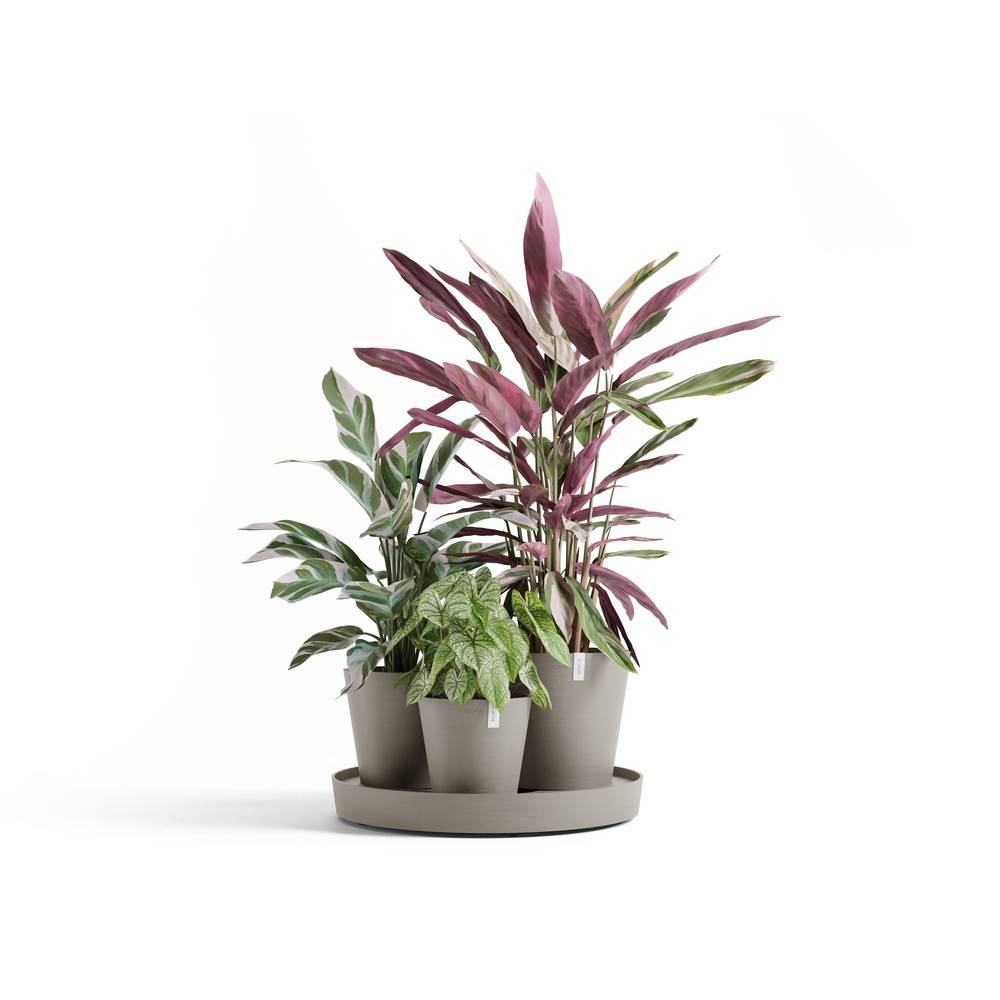 Ecopots - Ensemble de 3 pots Dubai Taupe - Ø 57 x H. 30 cm - support à roulettes ECOPOTS