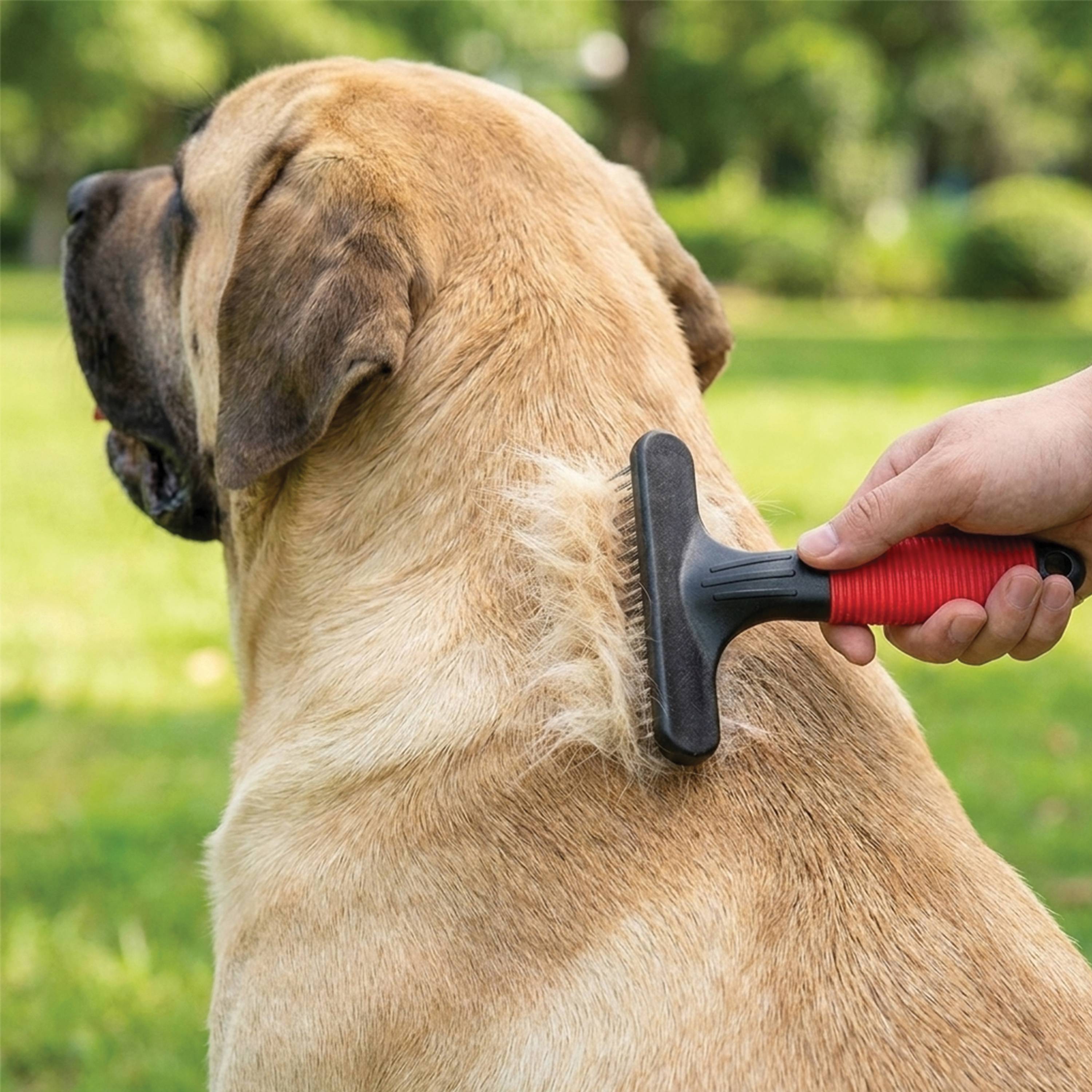 Ferplast - Ferplast Peigne rateau pour chiens GRO 5874, double rangée de arrondies rotatives, idéal pour le sous-manteau des animaux à poils moyens et longs, 11 - Image 3