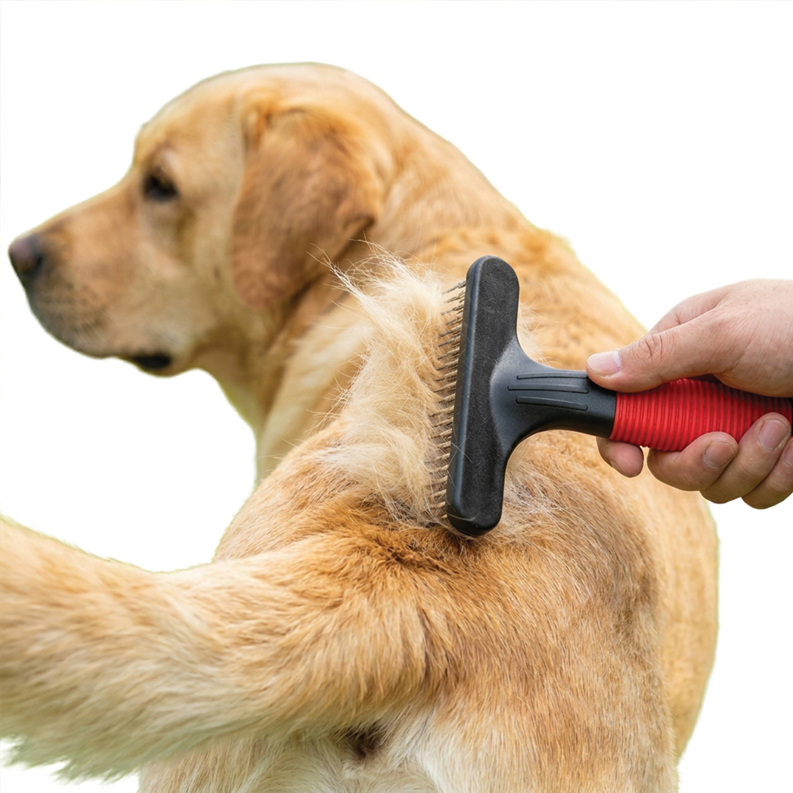 Ferplast - Ferplast Peigne rateau pour chiens GRO 5874, double rangée de arrondies rotatives, idéal pour le sous-manteau des animaux à poils moyens et longs, 11 - Image 4