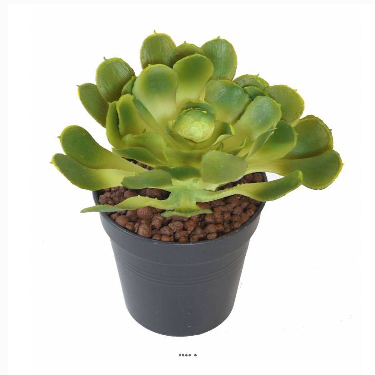 Artificielles - Joli Aloe artificiel en piquet H 18 cm L 15cm Vert - Imagen 1