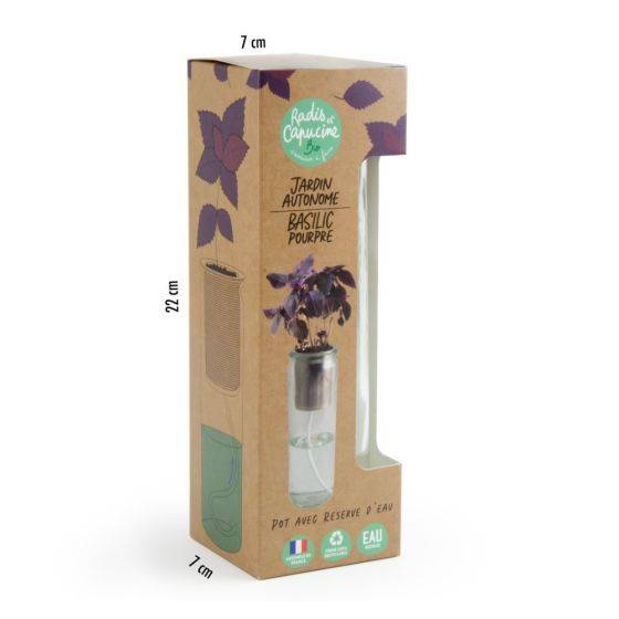 Radis et Capucine - Radis et Capucine - Jardin autonome - Basilic Pourpre bio - Imagen 3