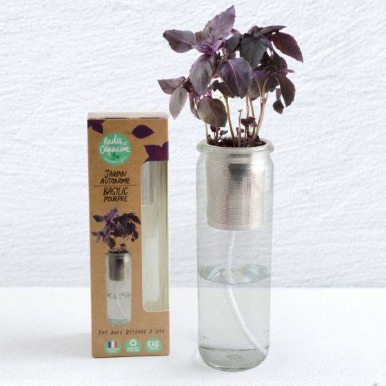 Radis et Capucine - Radis et Capucine - Jardin autonome - Basilic Pourpre bio - Imagen 4