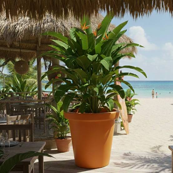 Pot de fleurs 420l delight - plast'up rotomoulage - Image 3