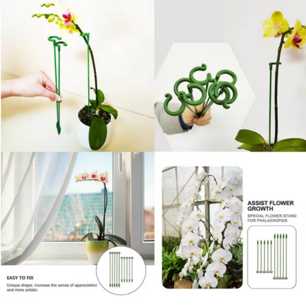 Lot de 10 Tuteurs pour Plantes d'Intérieur 37 cm - Fibre de Verre Résistant - Support pour Orchidées et Fleurs Délicates - Lytech - Image 3