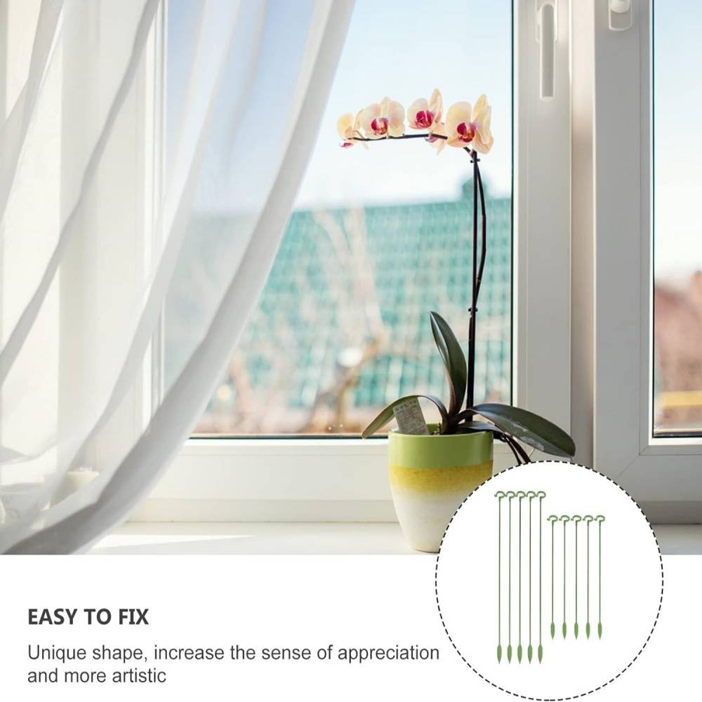 Lot de 10 Tuteurs pour Plantes d'Intérieur 37 cm - Fibre de Verre Résistant - Support pour Orchidées et Fleurs Délicates - Lytech - Image 4