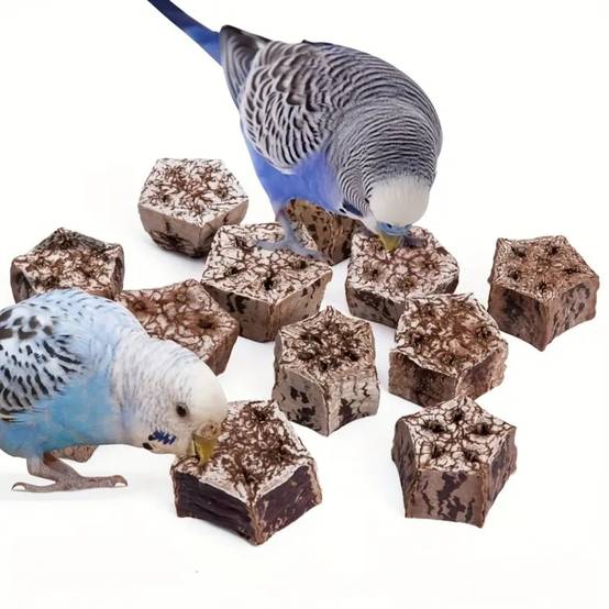 Jouet à mâcher pour oiseaux - IntiMeg - Image 3