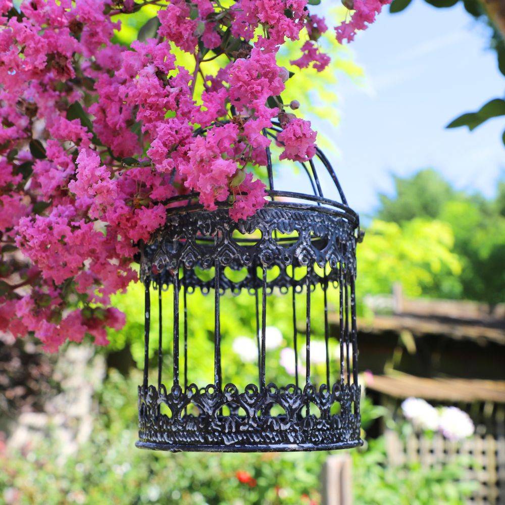 Cage à oiseaux décorative ancienne métal noir blanc Ø.13x21cm Chemin de campagne - Image 2