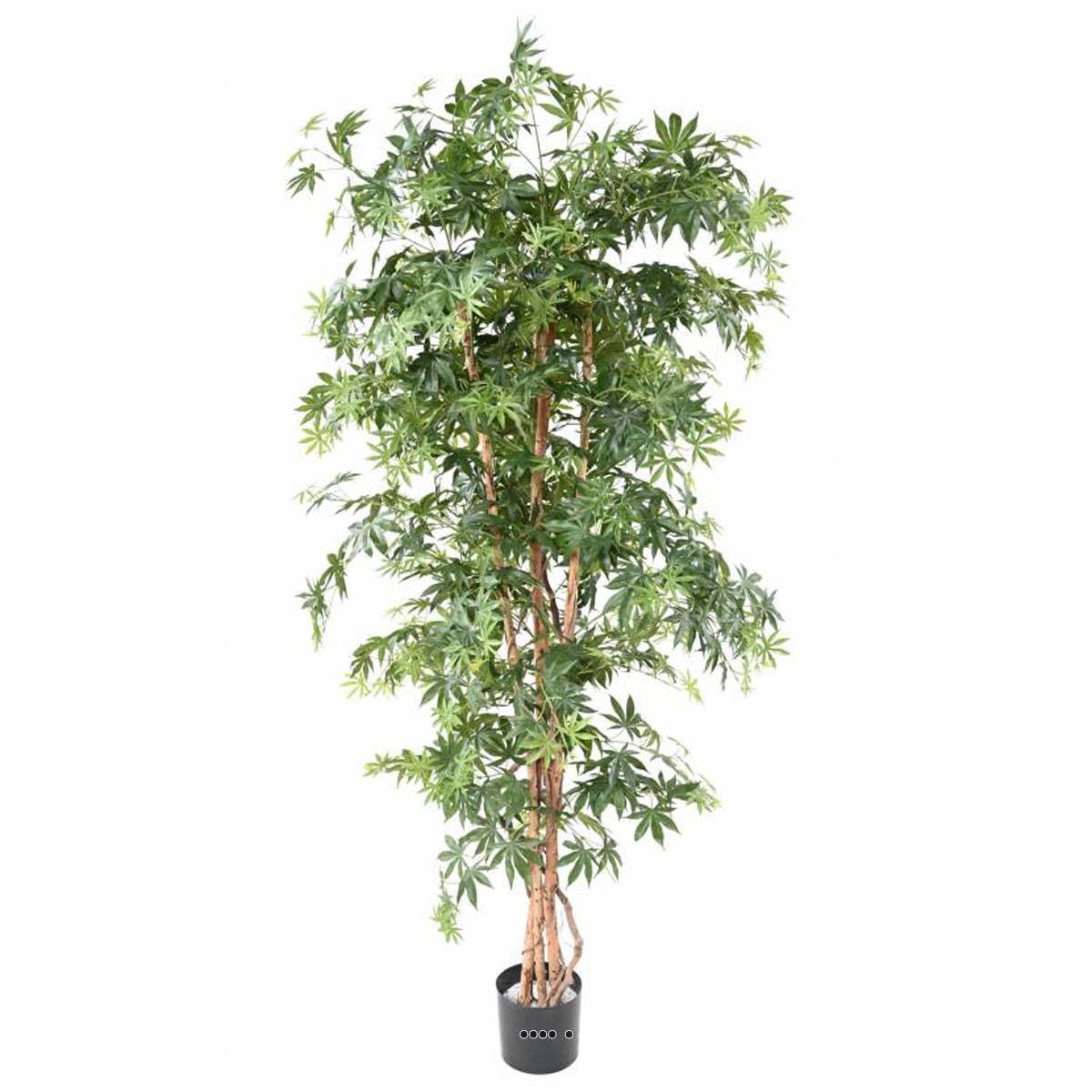 Artificielles - Aralia Arbre Artificiel H 180 cm Vert en pot - dimhaut: H 180 cm - couleur: Vert