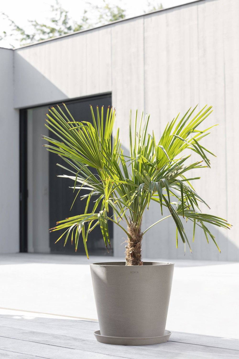 Ecopots - Pot Rond Amsterdam 40 Taupe - Ø 40 x H. 35 cm - 28 L ECOPOTS - Imagen 4
