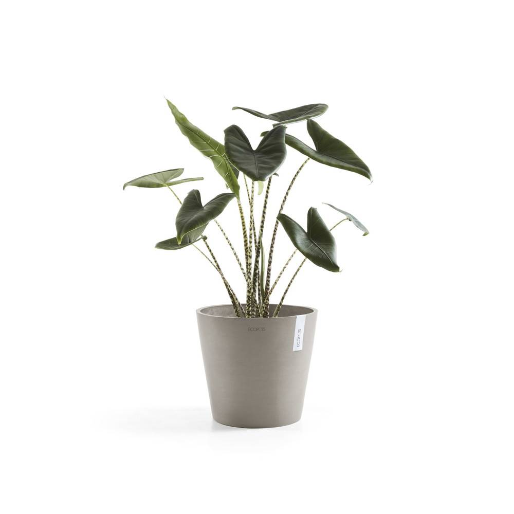 Ecopots - Pot Rond Amsterdam 40 Taupe - Ø 40 x H. 35 cm - 28 L ECOPOTS - Imagen 2